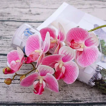Modeliavimas 3D mažų Drugelių orchidėja 6 vadovai (bundle Netikrą gėlių namuose draperija sienos vestuvių dekoravimas 